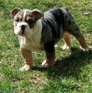 Meet your Posher, Rayshawn